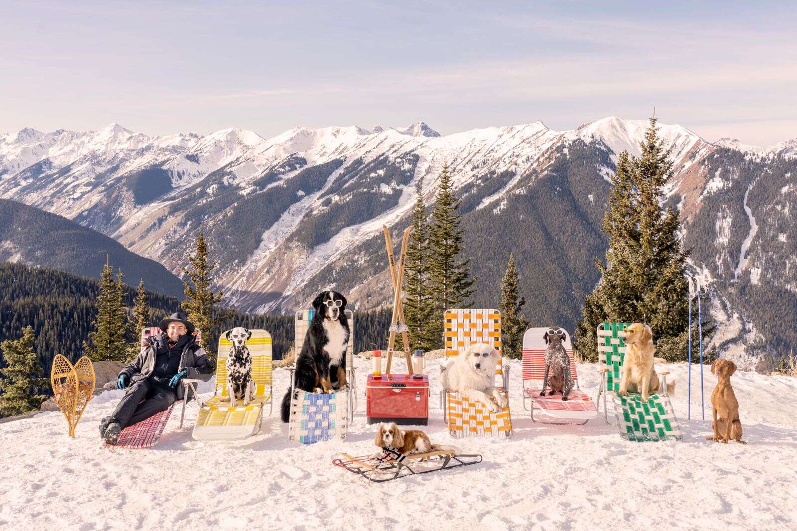 Gray Malin and the dogs of Aspen